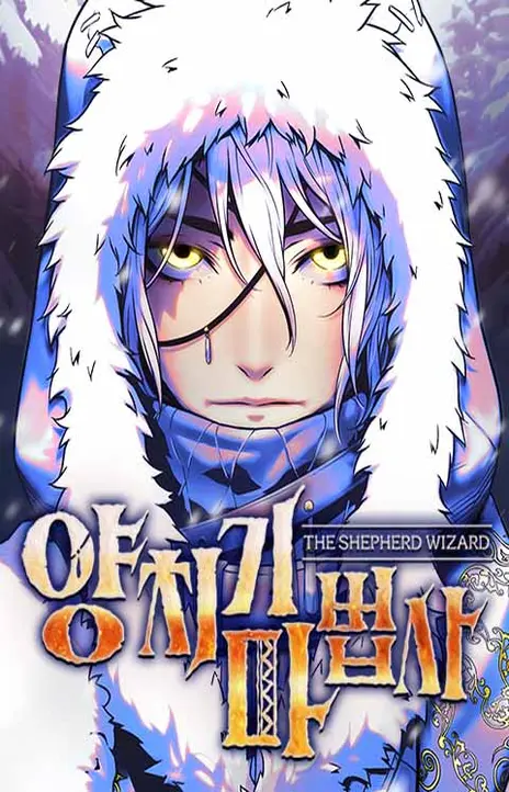 Shepherd Wizard FR Cover Image